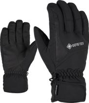 Garwen GTX Glove Ski Alpine
