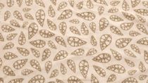 Fleece Carpet Klondike Twin