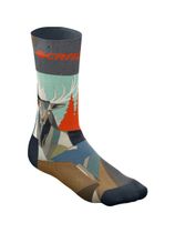 Crazy Socks
