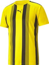 Teamliga Striped Jersey
