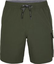 All Day 17'' Hybrid Shorts
