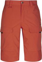 Hiker M Lite Shorts