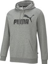 Essentials Big Logo Hoodie FL