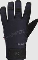 Goretex Glove