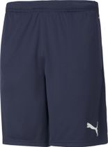 Teamrise Training Shorts
