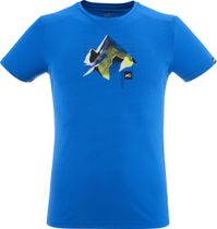 Summit Board TS SS M
