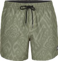 Cali Print 15'' Swim Shorts