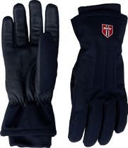 Blizzard Glove
