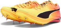 Evospeed Long Distance Nitro Elite+