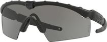 Ballistic M Frame 2.0