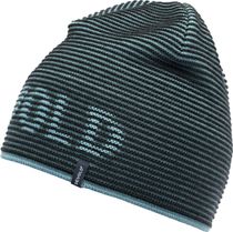 RIB Logo Merino Beanie