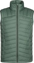 Evolve Lite M Down Vest