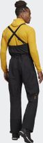 Skychaser GTX Pants