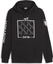 öfb Ftblicons Hoody
