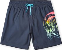 Circle Surfer 14" Swim Shorts