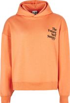 Future Surf Society Hoodie