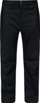 Astral GTX Pant Men