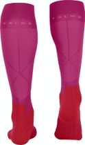 SK5 Expert Damen Skiing Kniestrümpfe
