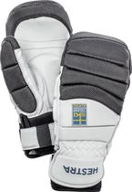 Gripen GS - Mitt