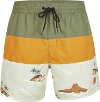 Cali Block 15'' Swim Shorts
