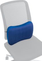 Aeros Premium Lumbar Support