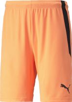Teamliga Shorts