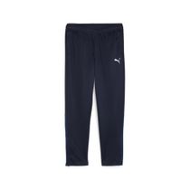 Teamgoal Training Pant Wmn