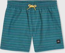 MIX & Match Cali First 13'' Swim Shorts