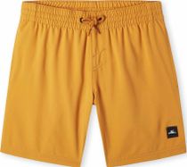 Future Surf Society 14'' Swim Shorts