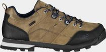 Alcor Low Trekking Shoe WP