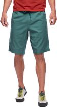 M Notion Shorts