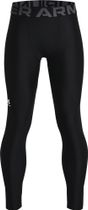 HG Armour Leggings