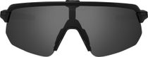 Shinobi Polarized Lens