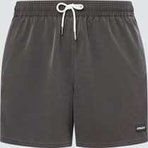 Robinson RC 16" Beachshort