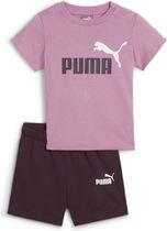 Minicats Tee & Shorts Set