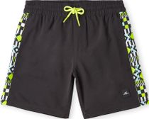 Cali Panel 14'' Swim Shorts