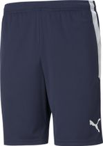 Teamliga Training Shorts