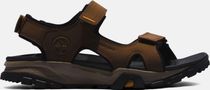 Mens Backstrap Sandal