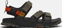 Mens Backstrap Sandal