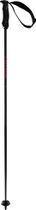 Rentastick Carbon Poles