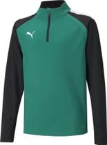 Teamliga 1/4 Zip Top Jr