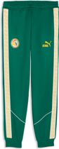 Puma FSF King Anthem Pants Herren  Outdoorhose