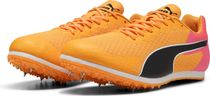 Evospeed Star 9