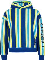 Brights Terry Hoodie