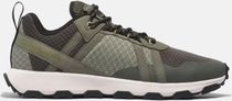 Mens Low Lace UP Sneaker