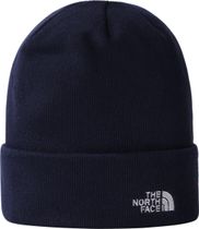 Norm Beanie