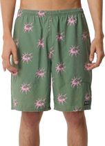 RipCurl Disorder Volley Herren Bademode