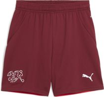 SFV Shorts Replica Jr