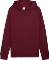 Pumatech Hoodie DK