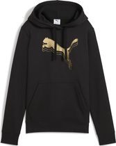 Essentials Metallic Hoodie FL